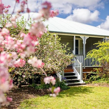 Apple Blossom Cottages Stanthorpe Εξωτερικό φωτογραφία