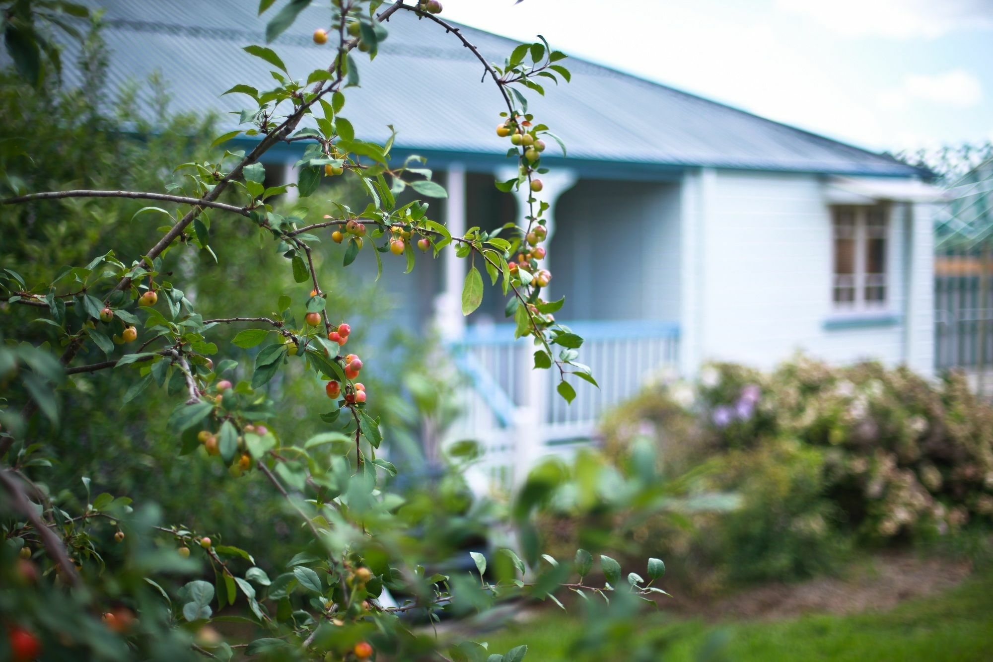 Apple Blossom Cottages Stanthorpe Εξωτερικό φωτογραφία